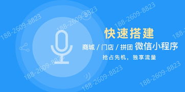 广州鑫享世成系统软件 引领广州软件开发行业创新